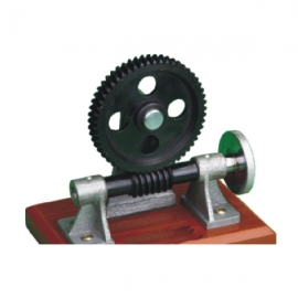 Worm Gear